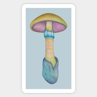 Death cap mushroom Magnet